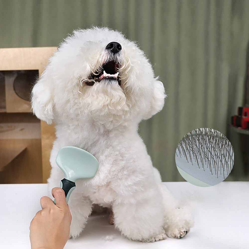 Professional Cordless Low Noise Dog Grooming Clippers Kit
